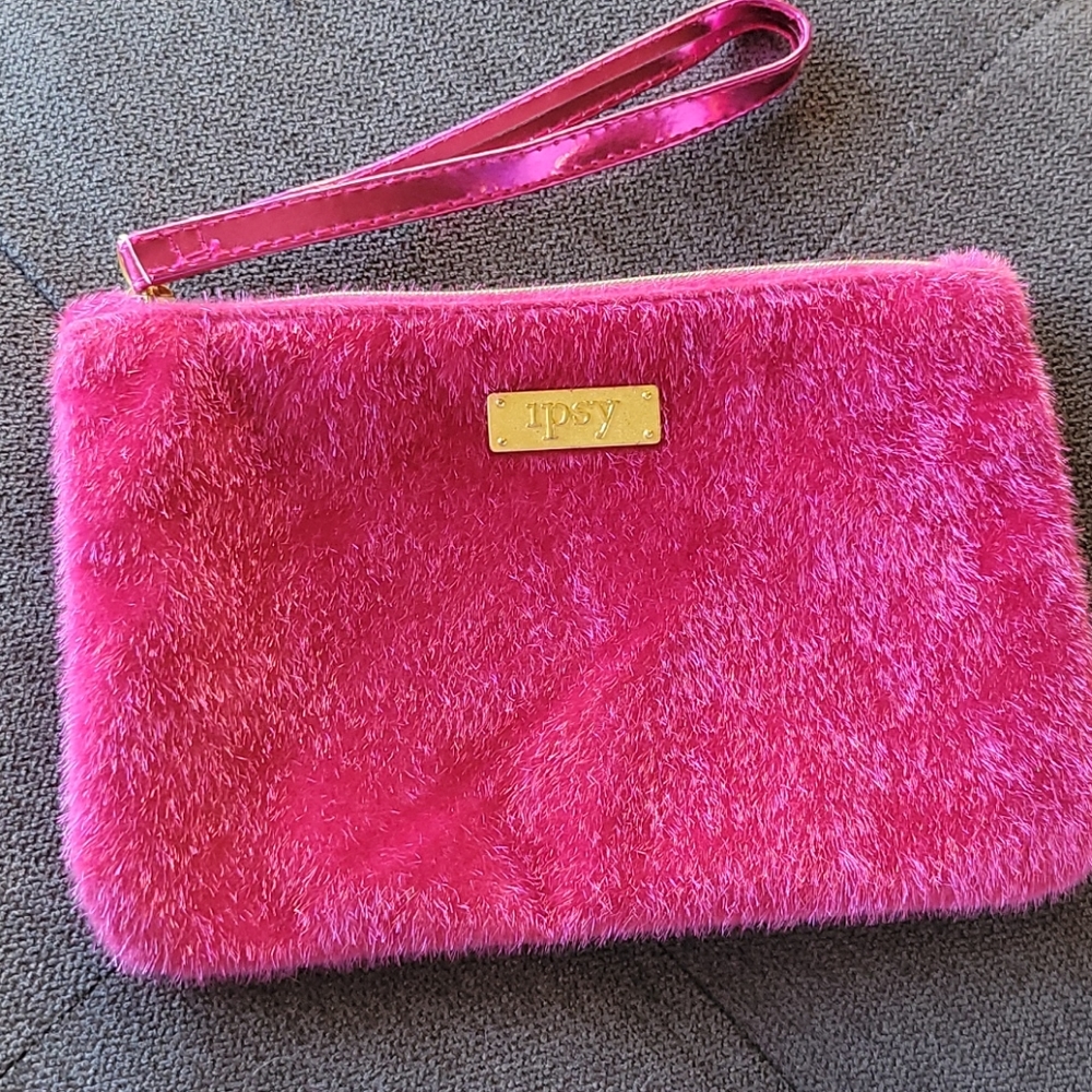 Ipsy- makeup bag